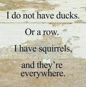 Meet your Posher, Vicki